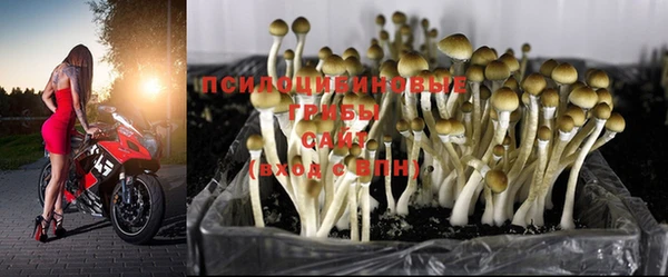 кокаин VHQ Новозыбков